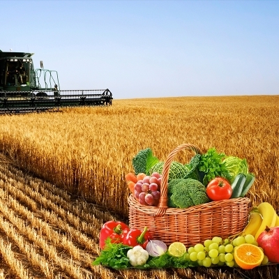 22 th Kayseri Agricultural Fair 2027