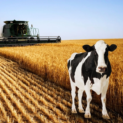 Çorum Agricultural Fair